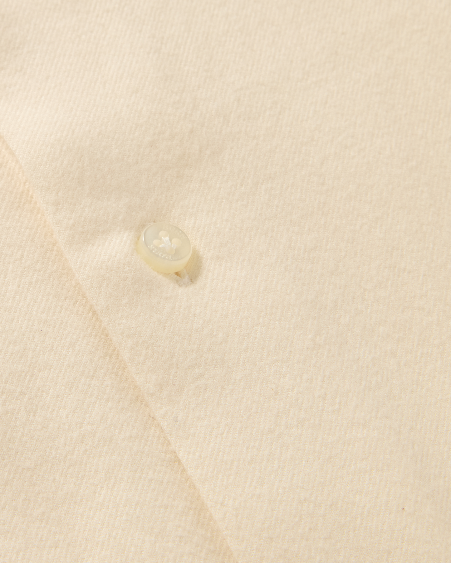 Brushed Cotton Button-Down Shirt Cream